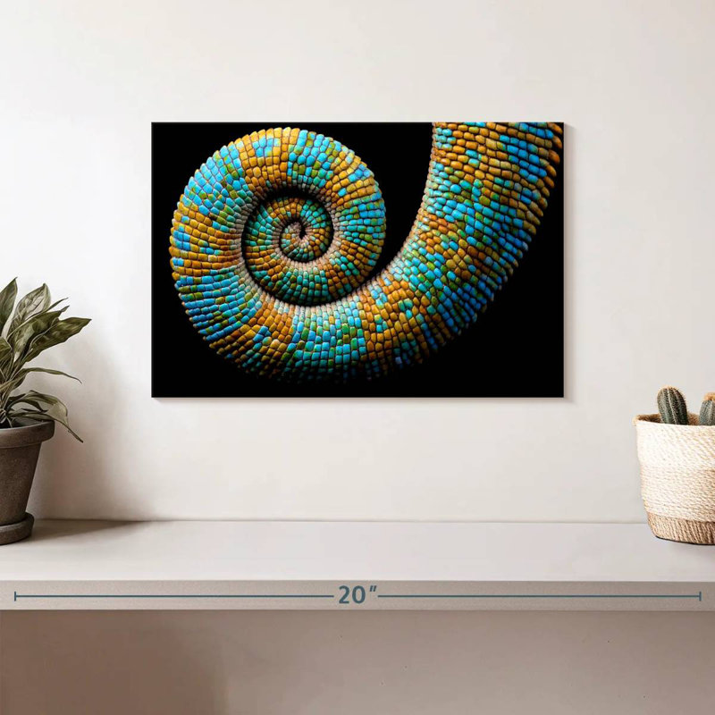 Brampt Curled Chameleon, 8" H x 12" W
