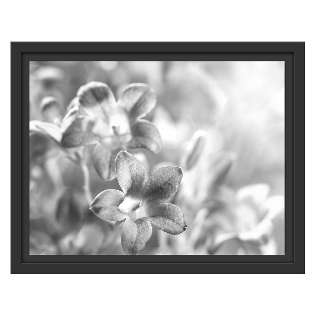 Gerahmtes Wandbild Lilane Lavendelblumen Kunst B&W