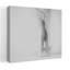 «Graceful Ballet Pose Classic Delicate Elegant», art mural-1450362272