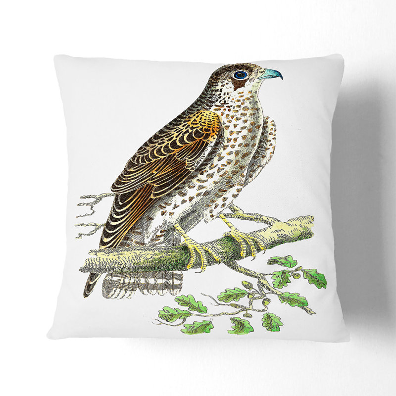 Brown Falcon Square Throw Cushion, 55cm H x 55cm W x 20cm D