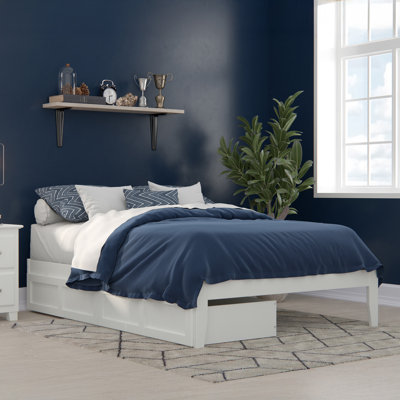 Aayanna Panel Storage Bed