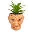 Plante grasse artificielle 6,5 "en pot