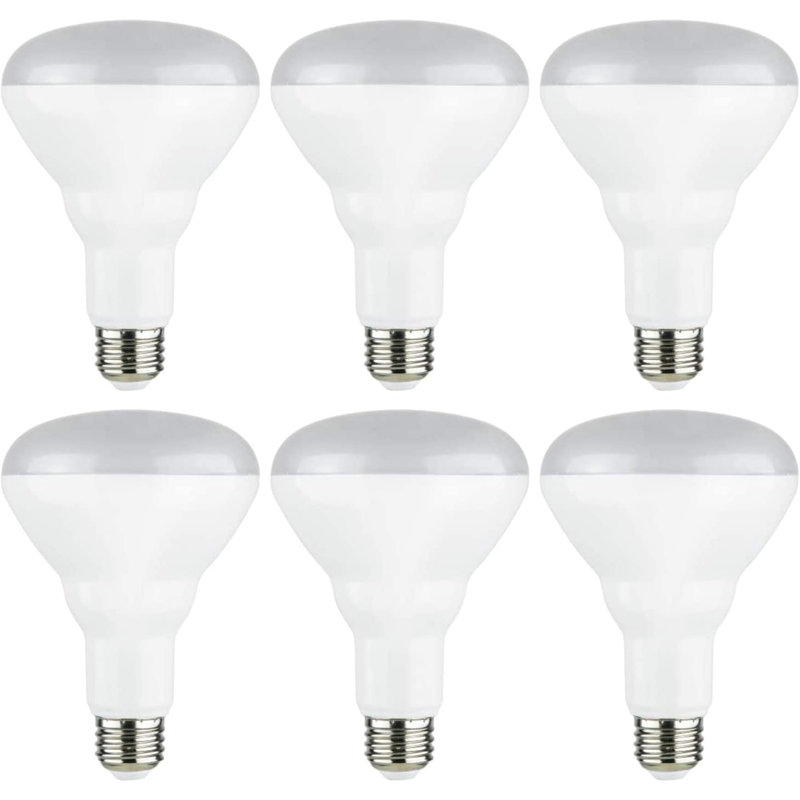 10 Watt (65 Watt Equivalent), BR30 LED Dimmable Light Bulb E26/Medium (Standard) Base, 2700K