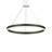 Double Corona 2 - Light Dimmable LED Wagon Wheel Chandelier-28665365