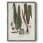 «Botanical Society Ferns IV», reproduction encadrée - bois massif-30496815