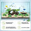 8 pièces d'aquarium en bois flottant en grès