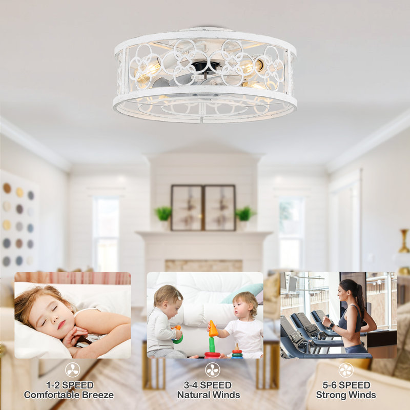 Barney 19" Caged Ceiling Fan with Light Kit and Remote, Flush Mount Farmhouse Ceiling Fan with Light