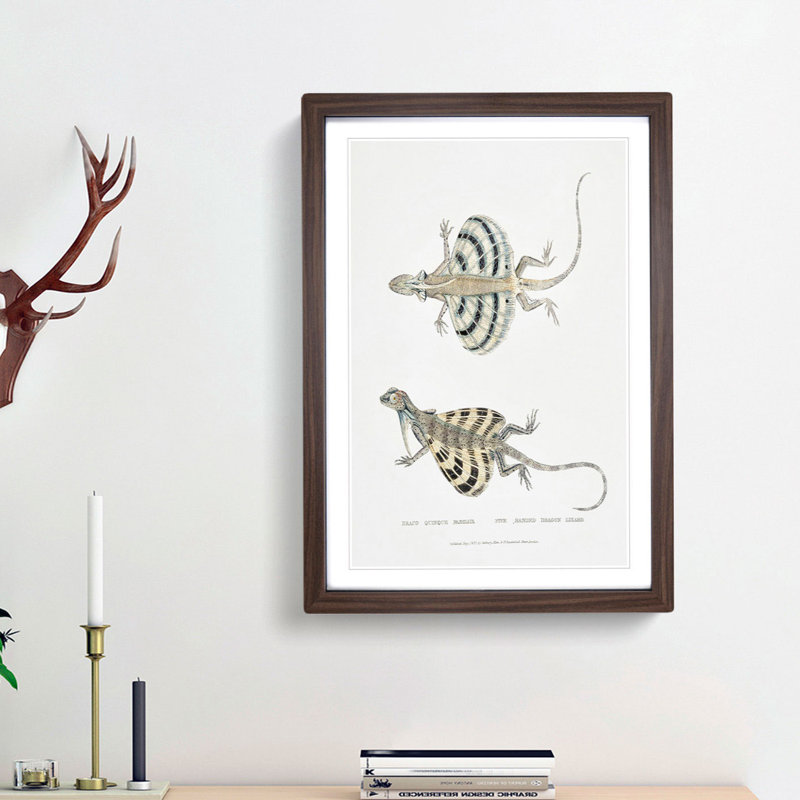 Dragon Lizard by John Edward Gray - Picture Frame Painting Print, 65cm H x 48cm W x 2cm D, Walnut Framed