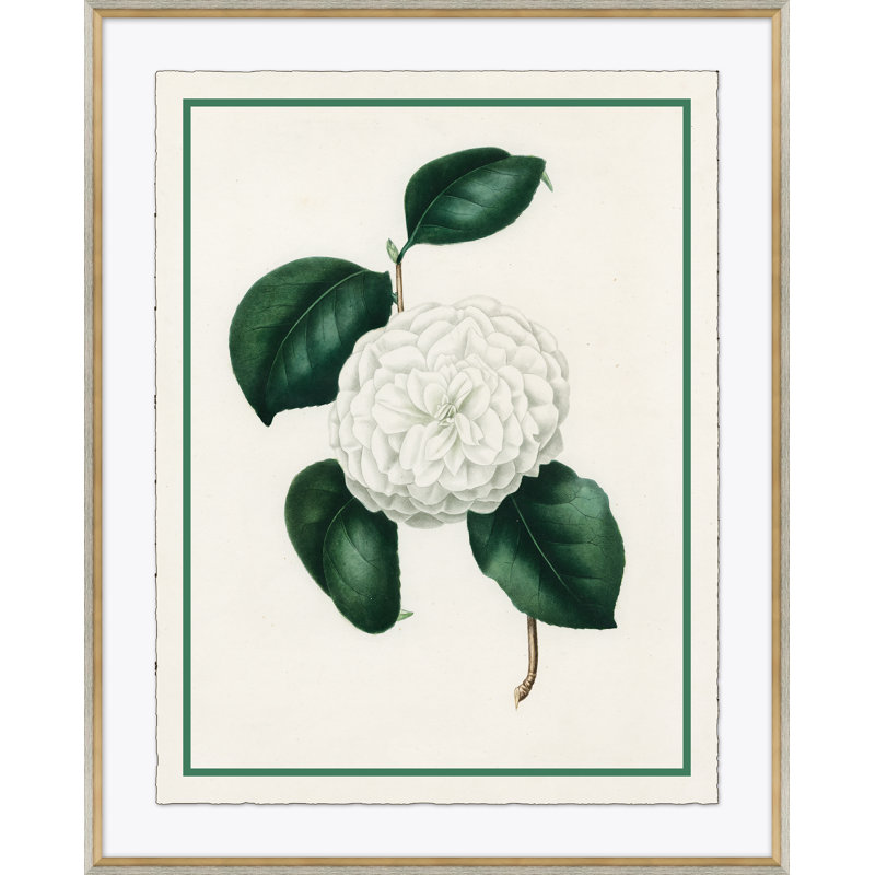 «Flora VI», reproduction de cadre photo sur papier