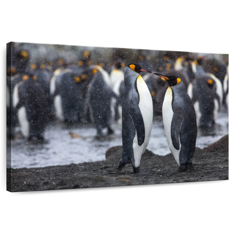 Brampt Penguin Romance, 30" H x 45" W