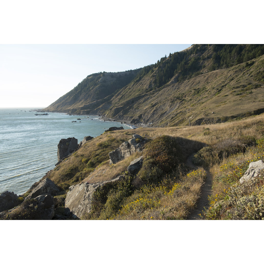 Humboldt County, Kalifornien von Nathanphoto - Kunstdrucke auf Leinwand