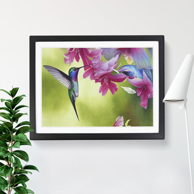Hummingbird Vol.1 - Single Picture Frame Print