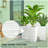 Stackable Tapered Planters,Set of 3 Outdoor Planters-129086837