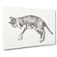 Playful Cat by Jean Bernard - Wrapped Canvas Drawing - Wrapped Canvas-55324951