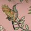Protea Garden - Solaris-835041547