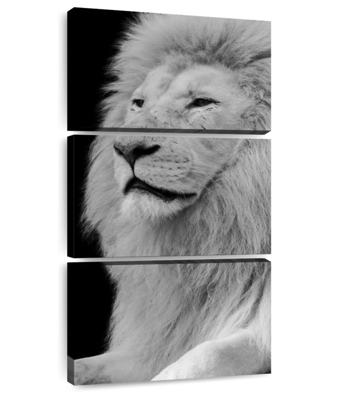 Profil de tête de lion, H 27 po x l 12 po