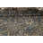 Wool Oriental Indoor Rug