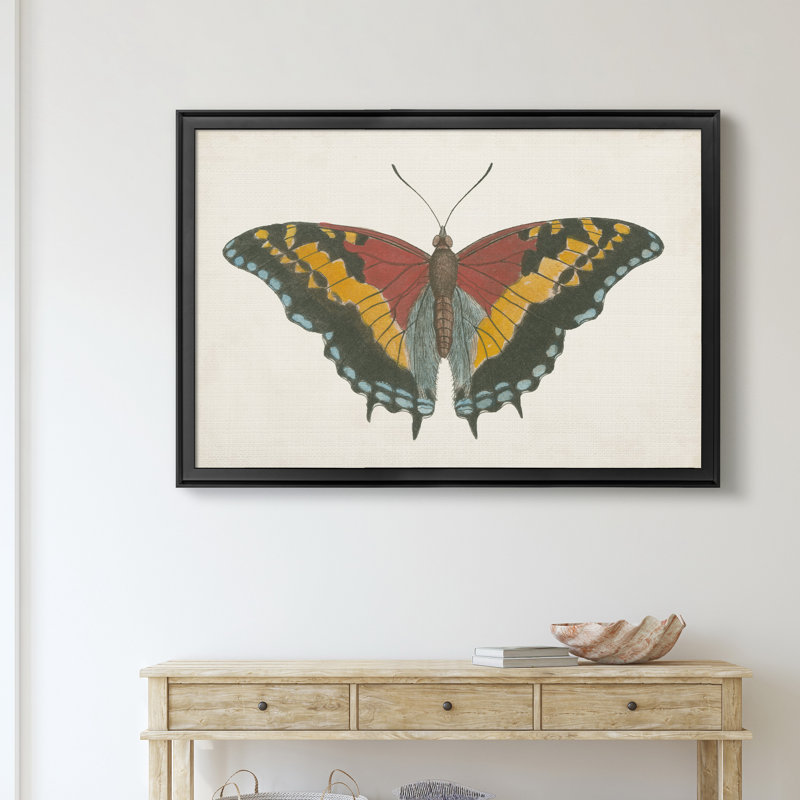 «Beautiful Butterfly IV», impression sur toile encadrée, Noir, H 18,5 po x l 24,5 po x P 1,5 po