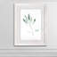 « simple sage ii »-cadre photo imprimé sur verre-1626722276-1626722272