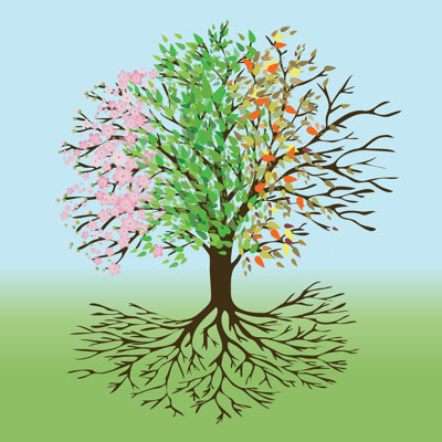 " Tree Of Four Seasons "