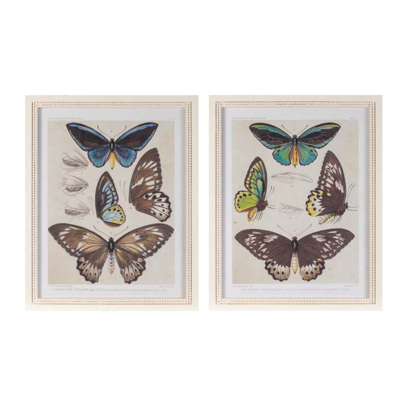 Reproduction encadrée encadrée de papillon