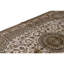 Oriental Area Rug