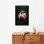 Curious Frog On Tulip Frog Tulip Flower Wall Art Print by Fauzan Maududdin - Print-1671626928