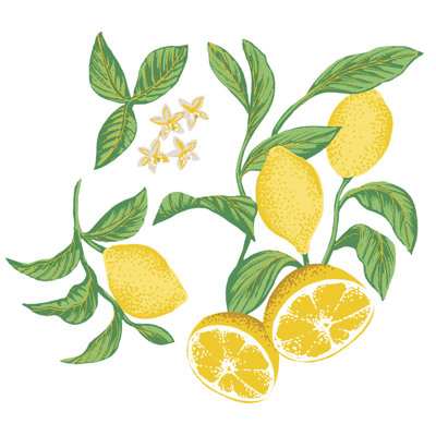 Ensemble d'adhésif décoratif citron amovible
