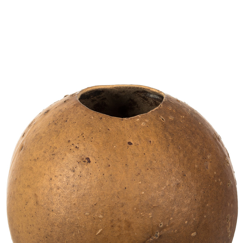 Ensemble de 3 plantes à feuillage préservé, Brun