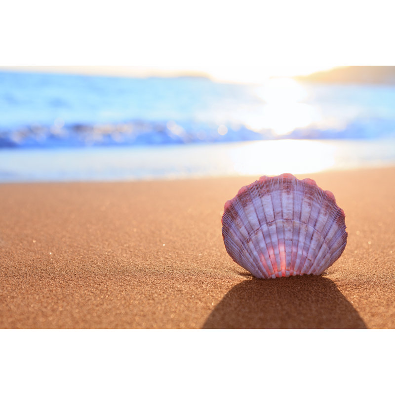 Shell On The Beach, 81cm H x 122cm W