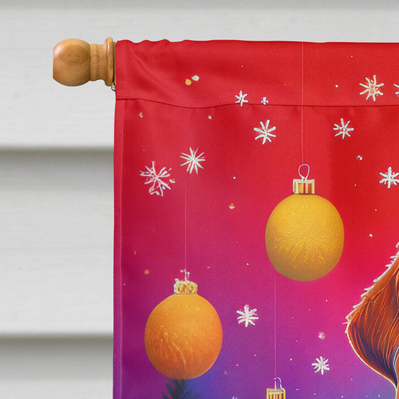 Drapeau de maison de Noël en polyester double face H 40 po x l 28 po
