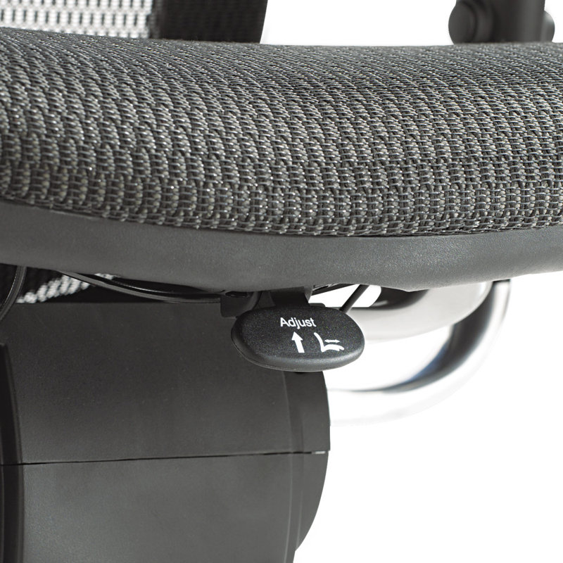 Black Mesh Executive Swivel Chair with Adjustable Arms