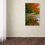 «Tidal Basin Autumn 1» par Gronseth, reproduction de photo sur toile tendue-12629373