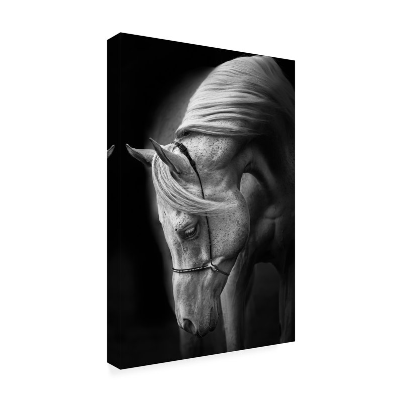 Modern & Contemporary, 19" H x 12" W x 2" D