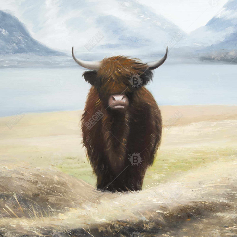 Highland cow - 32"x32" art on canvas