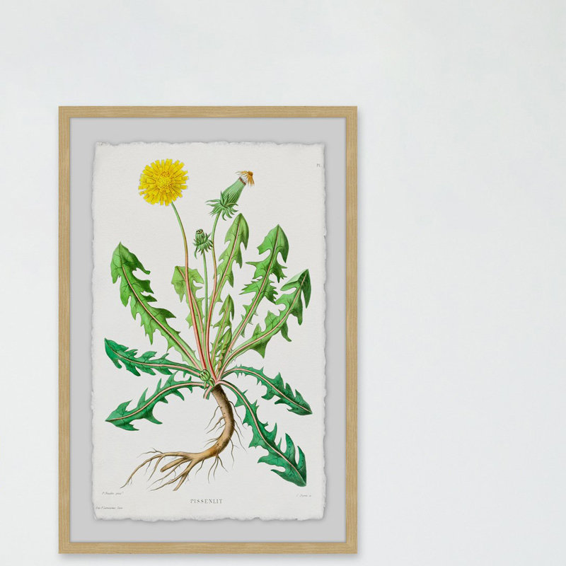 « yellow pissenlit », reproduction d’impression encadrée, H 24 po x l 16 po