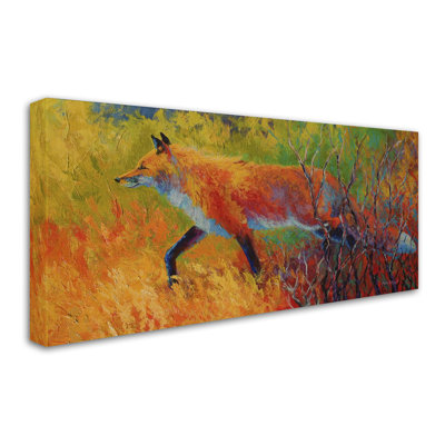 'Red Fox 1' Print on Wrapped Canvas