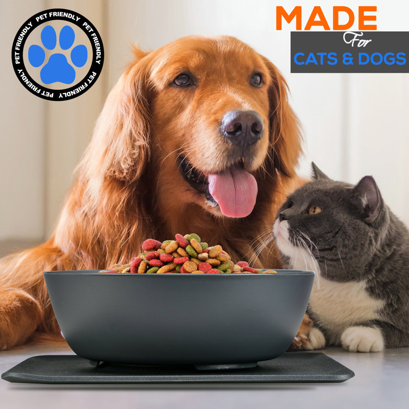 Anti-Skid Pet Bowl