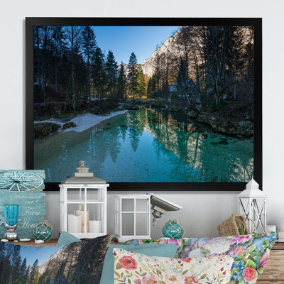 " Turquoise Water Grounded By Trees "