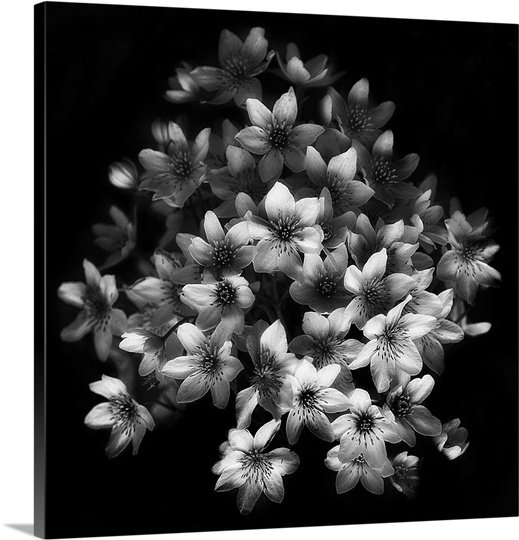 1x Modern & Contemporary, 20" H x 20" W x 1.25" D