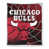 Bulls de Chicago