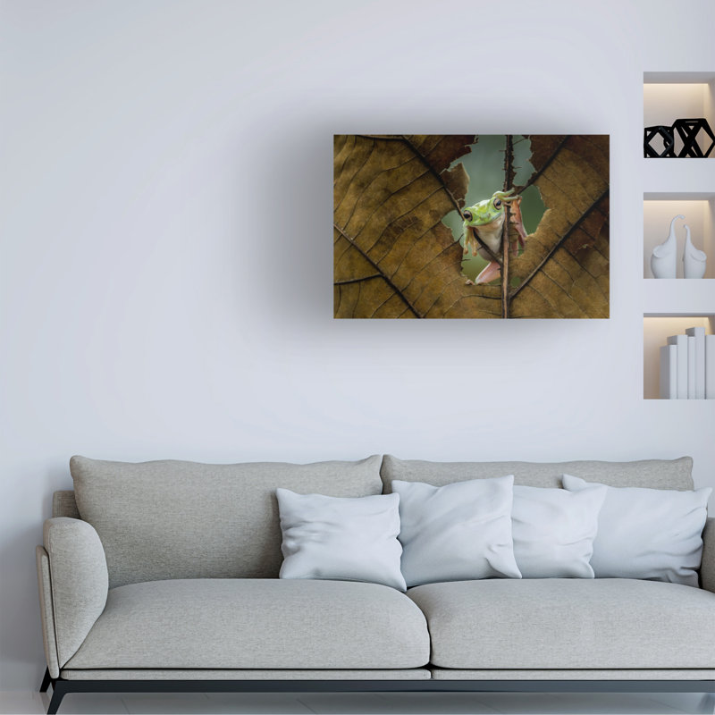 Art sur toile «Bachelor Andreas Karyadi Peek A Boo», H 12 po x l 19 po
