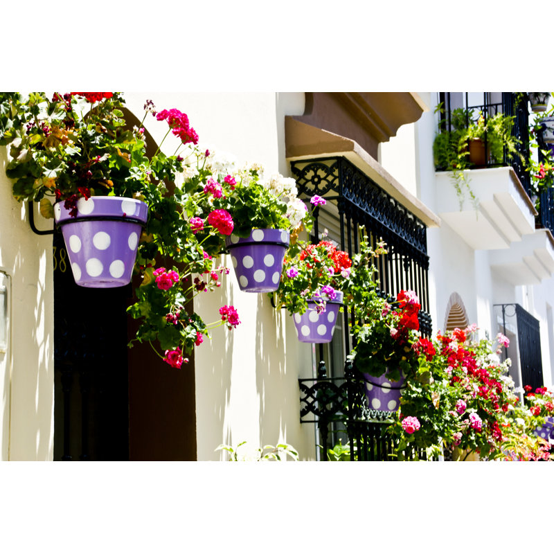 Typical Wall Planter Pots In Andalusian Village by Mflower - Wrapped Canvas Print, 30cm H x 46cm W