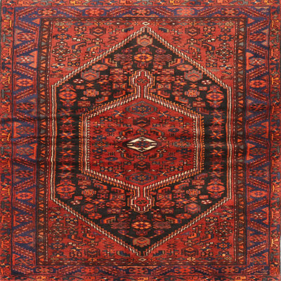 Oriental Indoor Rug