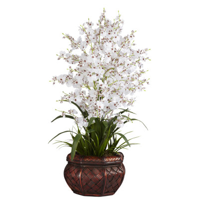 Orchids Arrangement in Pot