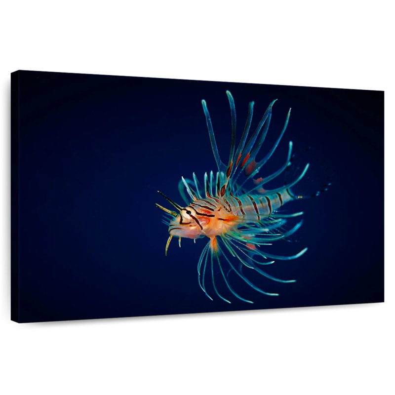 Brampt Colorful Lionfish, 32" H x 48" W