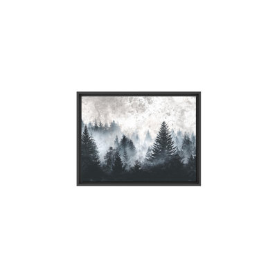 The Forest Beyond the Haze
