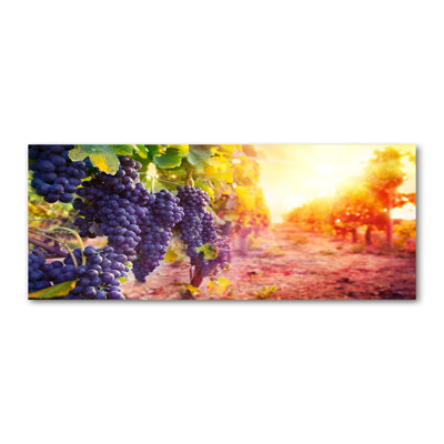 Vines - Wrapped Canvas Print
