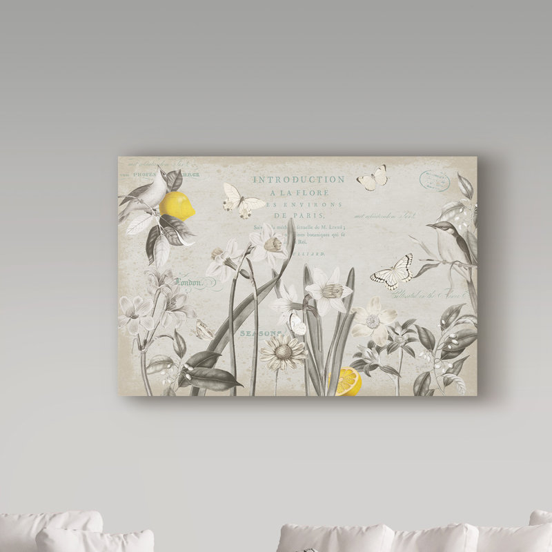 « citron curiosities », reproduction d’impression sur toile tendue, H 12 po x l 19 po x P 2 po