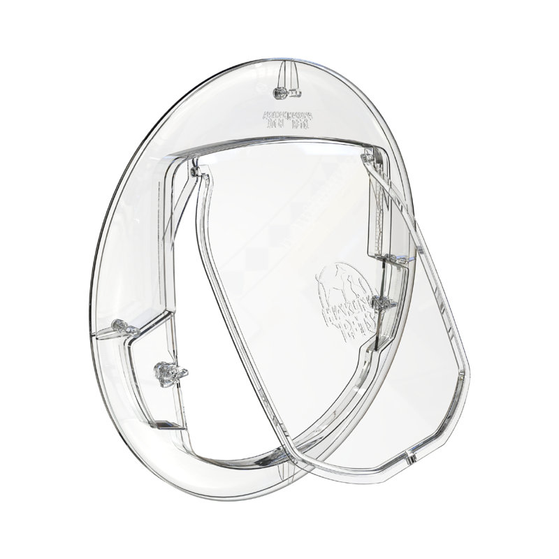Medium Clear Plastic Pet Door with Magnetic Lock